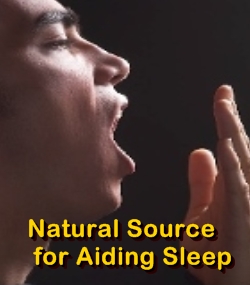 Ormus Minerals Magnesium Dew Sleep Ease Cream